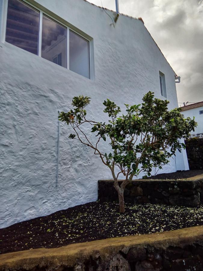Casa Do Marcelino Lagarto Villa São Roque do Pico Exteriör bild