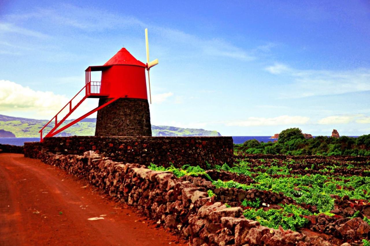 Casa Do Marcelino Lagarto Villa São Roque do Pico Exteriör bild